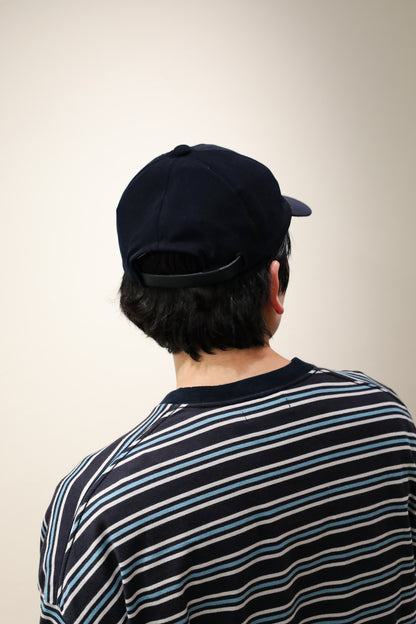 [COMESANDGOES]NYS CAP